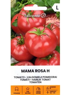 Pomidor zwyczajny 'Mama Rosa' H