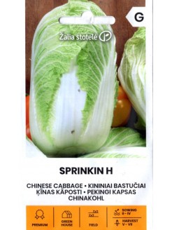 Kapusta właściwa pekińska 'Sprinkin' H
