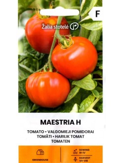Pomidor 'Maestria' H, 10 nasion