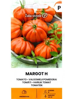 Pomidor 'Margot' 5 nasion