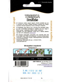 Truskawka 'Treska' 50 nasion