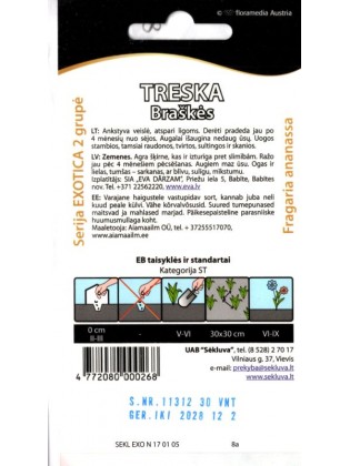 Truskawka 'Treska' 50 nasion