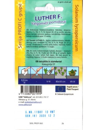 Pomidor 'Luther' H