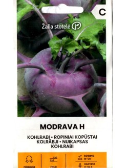 Kalarepa 'Modrava' H, 0,2 g