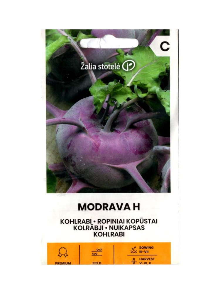 Kalarepa 'Modrava' H, 0,2 g