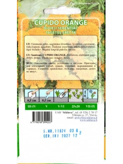 Aksamitka wzniesiona 'Cupido Orange' 0,3 g