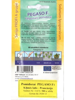 Pomidor 'Pegaso' H