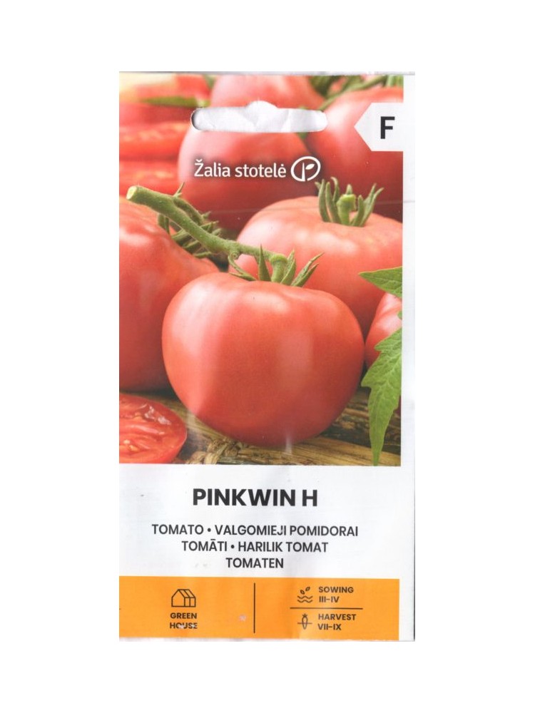 Pomidor 'Pinkwin' H