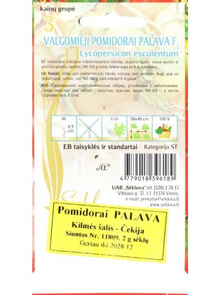 Pomidor 'Palava' H