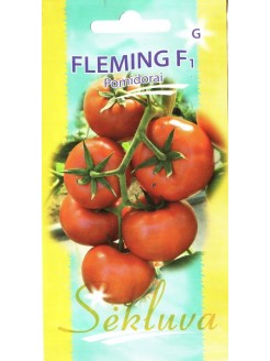 Pomidor 'Fleming' H, 6 nasion