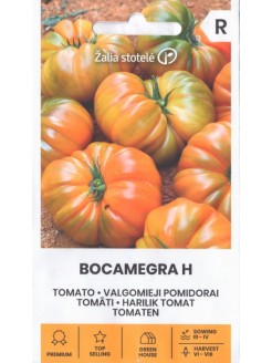 Pomidor 'Bocamegra' H, 10 nasion