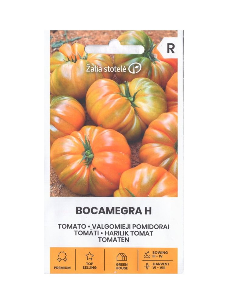 Pomidor 'Bocamegra' H, 10 nasion